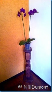 Pedestal-reciclado-02-8