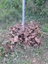 2012-10-20 16.56.33