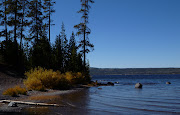 YellowstoneLewis Lake (yellowstone lewis lake )