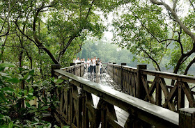 Sungei Buloh Wetland Reserve, Mangrove Boardwalk