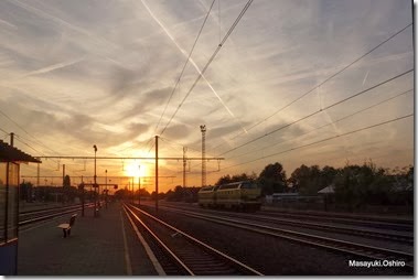 13-DSC08638