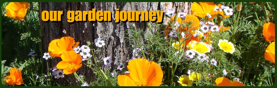 Our Garden Journey