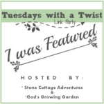 Scratch Made Food! & DIY Homemade Household is featured at Tuesdays With A Twist.