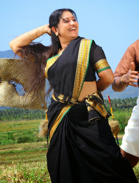 Mallu Hot Actress Tesni Khan Hot Spicy Navel Photos In Saree 