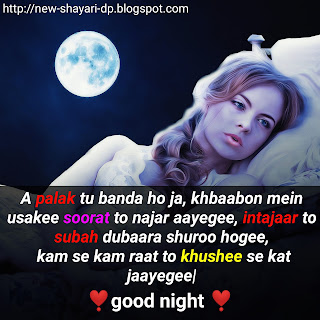 Hindi shayari good night pics