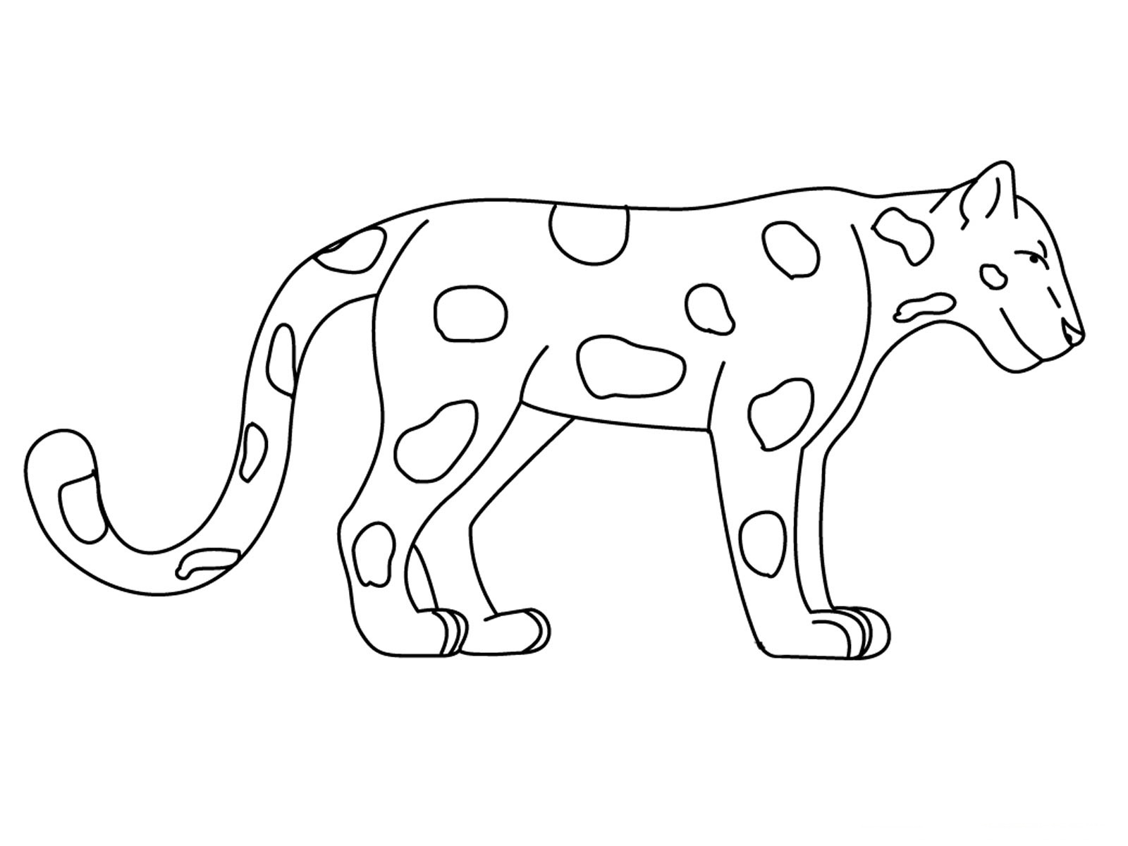 Jaguar Animal Coloring Pages | Realistic Coloring Pages