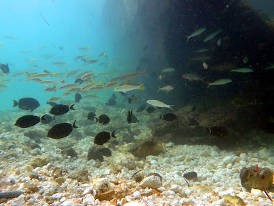 saipan dive practice