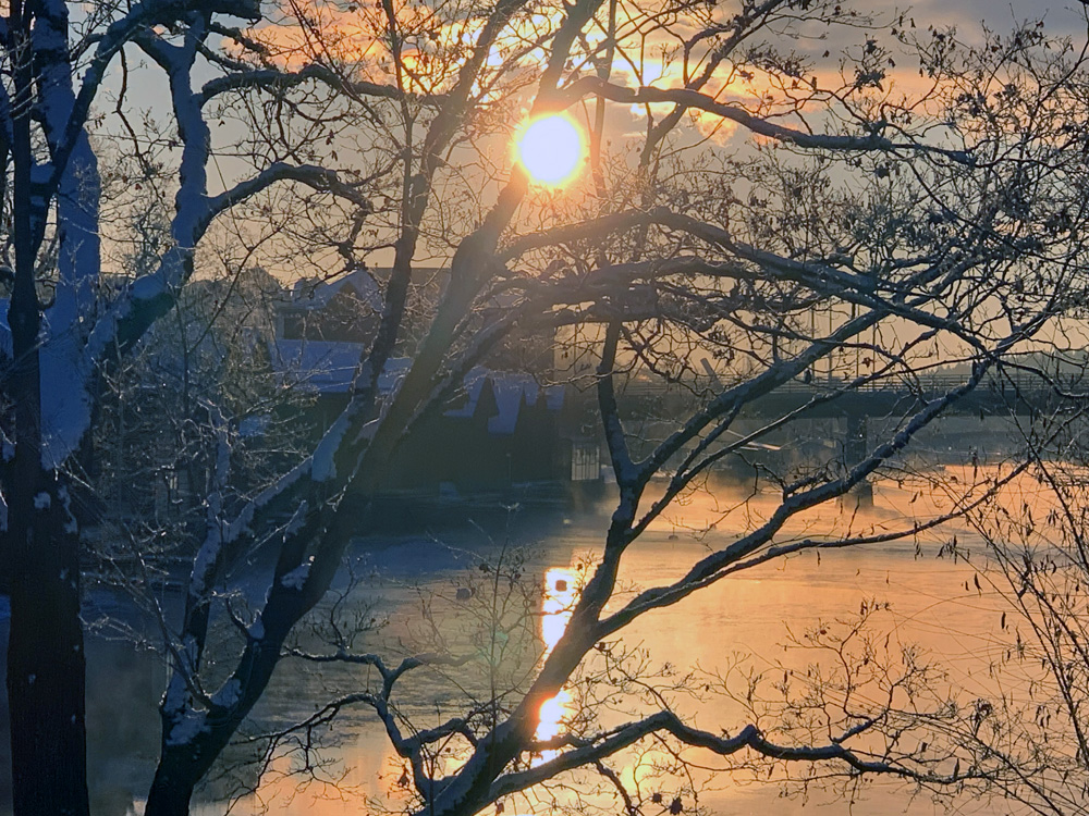 A frozen river behind a tree at sunset
