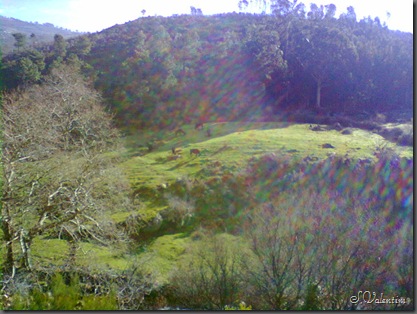 foto0035