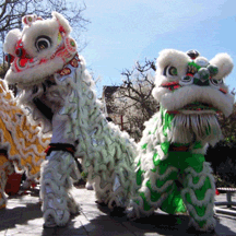 traditional lion dance