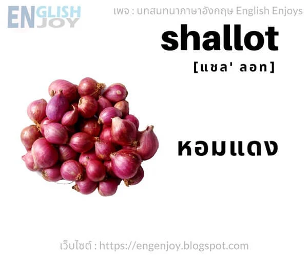 คําศัพท์ภาษาอังกฤษ ผัก - Shallot (หอมแดง)_Vegetables