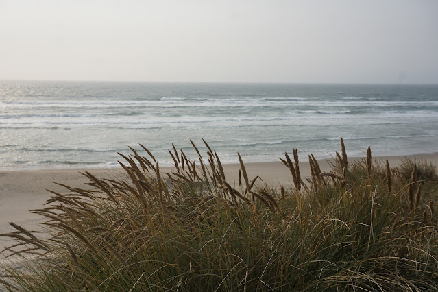 oregon parco dune usa pacifico