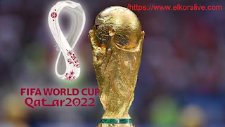 مشاركات الدول العربية في كأس العالم