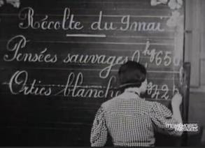 Collecte et vente de plantes par la coopérative de l’école (film INA « Mémoires partagées »)