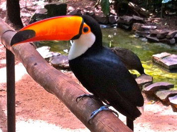 IMG_4484_2-2012-11-9-01-42.jpg