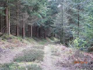 A biotope in the Vosges mountains interesting to explore this summer