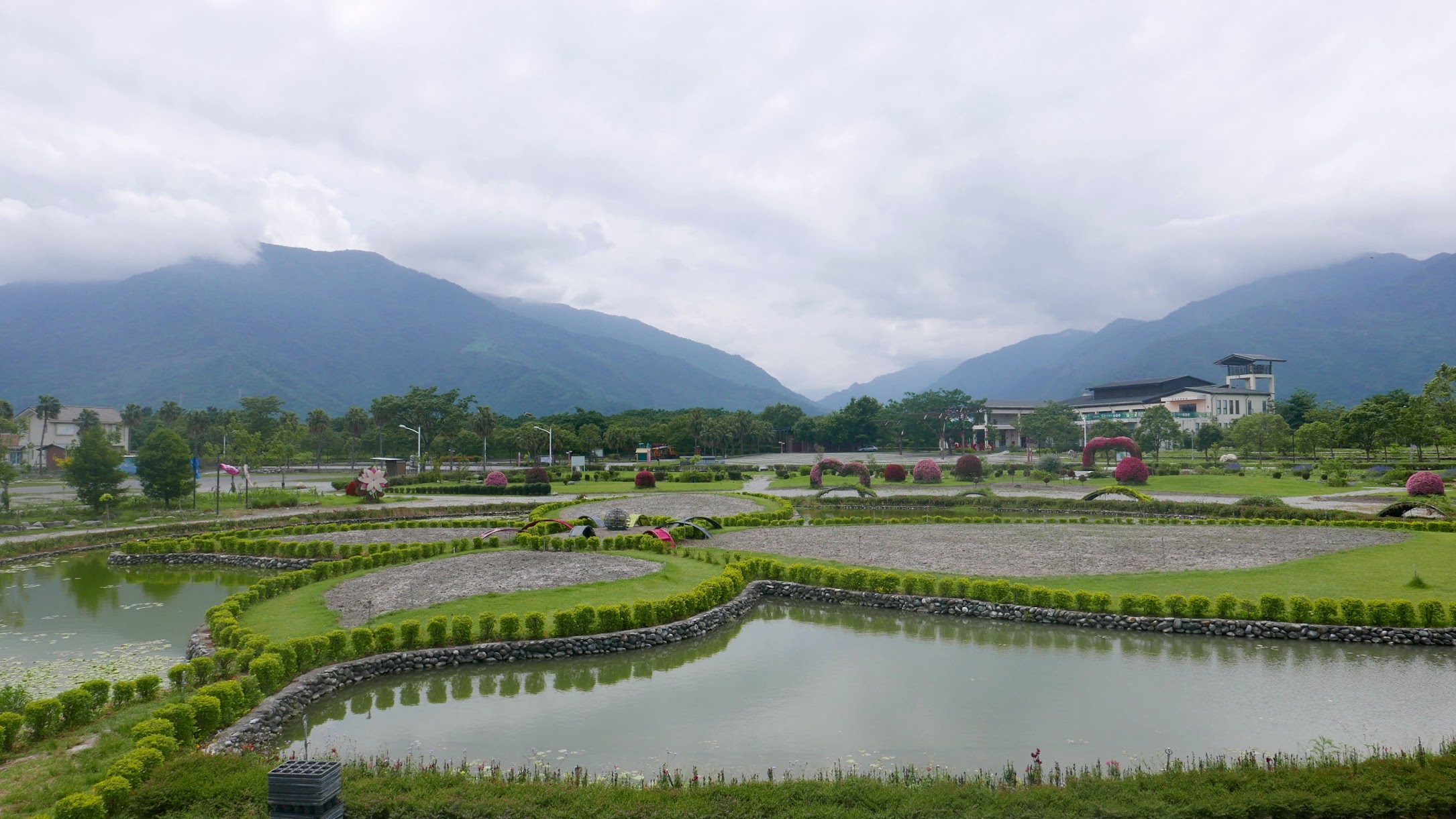 台東縣池上鄉 池上花海