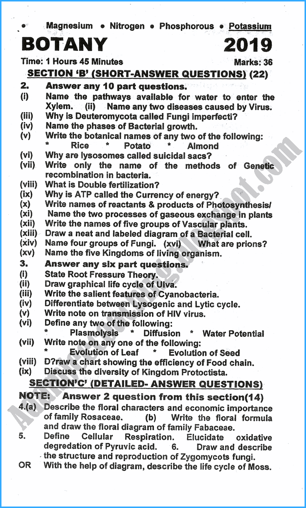 11th-botany-past-year-paper-2019