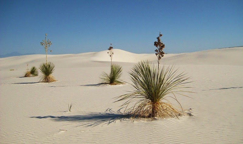 white-sands-national-monument-3 white-sands-national-monument-3