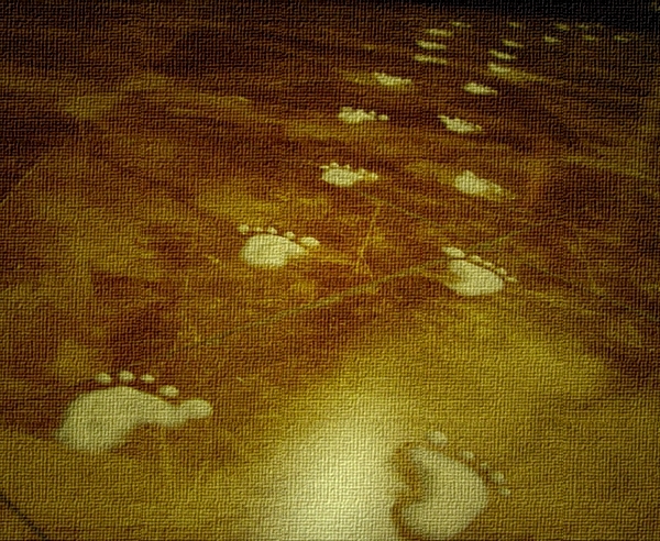 running baby krishna janmashtami footsteps on floor