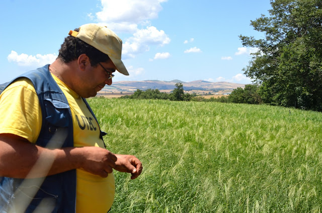 link gastronomici tra Basilicata, Etiopia ed Eritrea