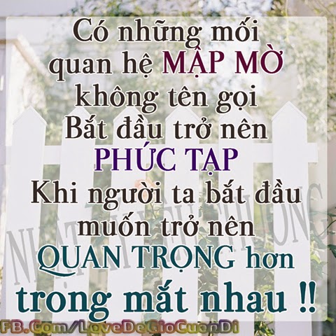  Rang su cao cap