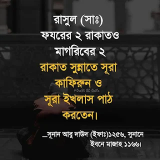 Islamic Picture And Islamic Quote. Only For Bangla Language | Best Bangla Quotes Collection