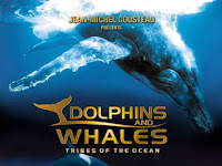 [HD] Delfines y ballenas - Tribus del océano 2008 Pelicula Completa
Subtitulada En Español