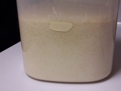 salt-rising-bread 014