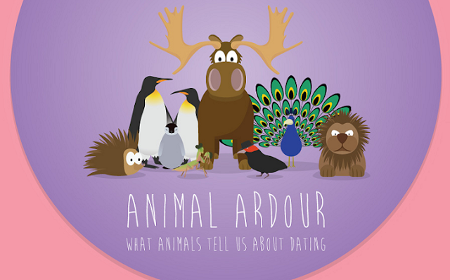 image: Animal Ardour: What Animals Tell Us About Dating 