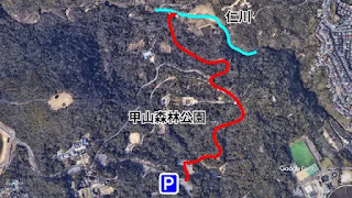 Google Earth衛星画像ー仁川の川遊びスポット