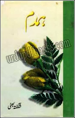 humdum urdu novel