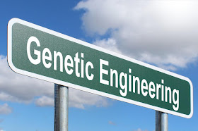 Γενετική Μηχανική - Genetic engineering- genetiki tropooiisi emvrion. ethics
