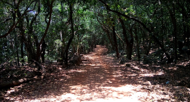 Roads inside Matheran to reach various points