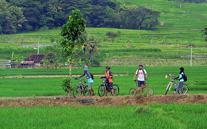 Sudut lain di pematang sawah