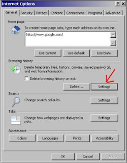 Settings under browsing history in Internet options