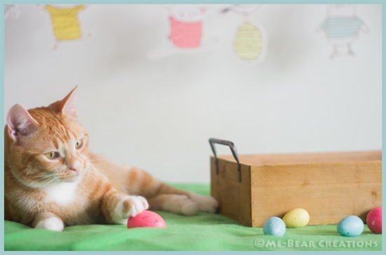 Teddy_Easter_04