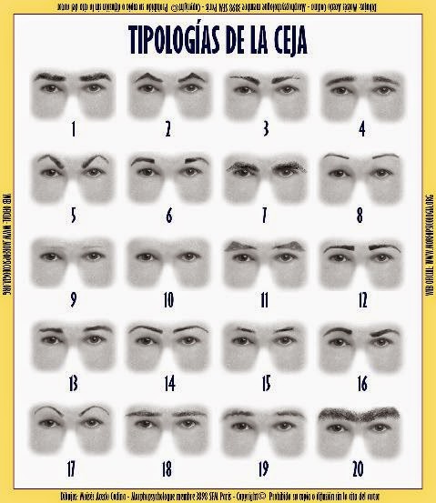 Conoce el significado de las cejas