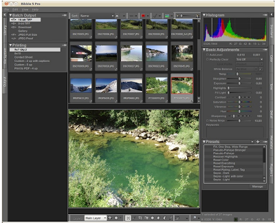 Bibble 5 Pro Digital Imaging Application for Linux