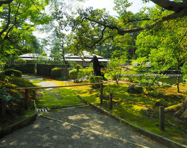 兼六園の長谷池と時雨亭