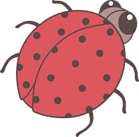 joaninha - ladybug