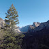 세코야 & 요세미티 국립공원을 가다 (Sequoia/Yosemite National Parks) - 3