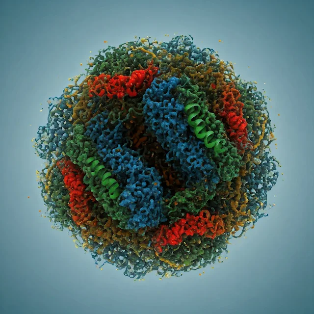 DeepMind_Makes Breakthrough_in_Protein_Folding.jpg