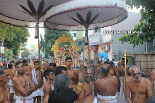 Sri Theliya Singar,Purattasi, third, sanivaram,Parthasarathy Perumal Temple,Purappadu,2016, Video, Divya Prabhandam,Sri Parthasarathy Perumal, Triplicane,Thiruvallikeni,Utsavam,