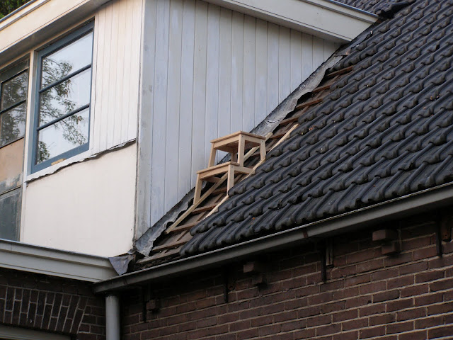 Building/repair tool on rooftops