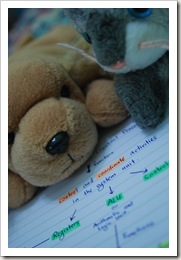 DOG&CAT&WORK