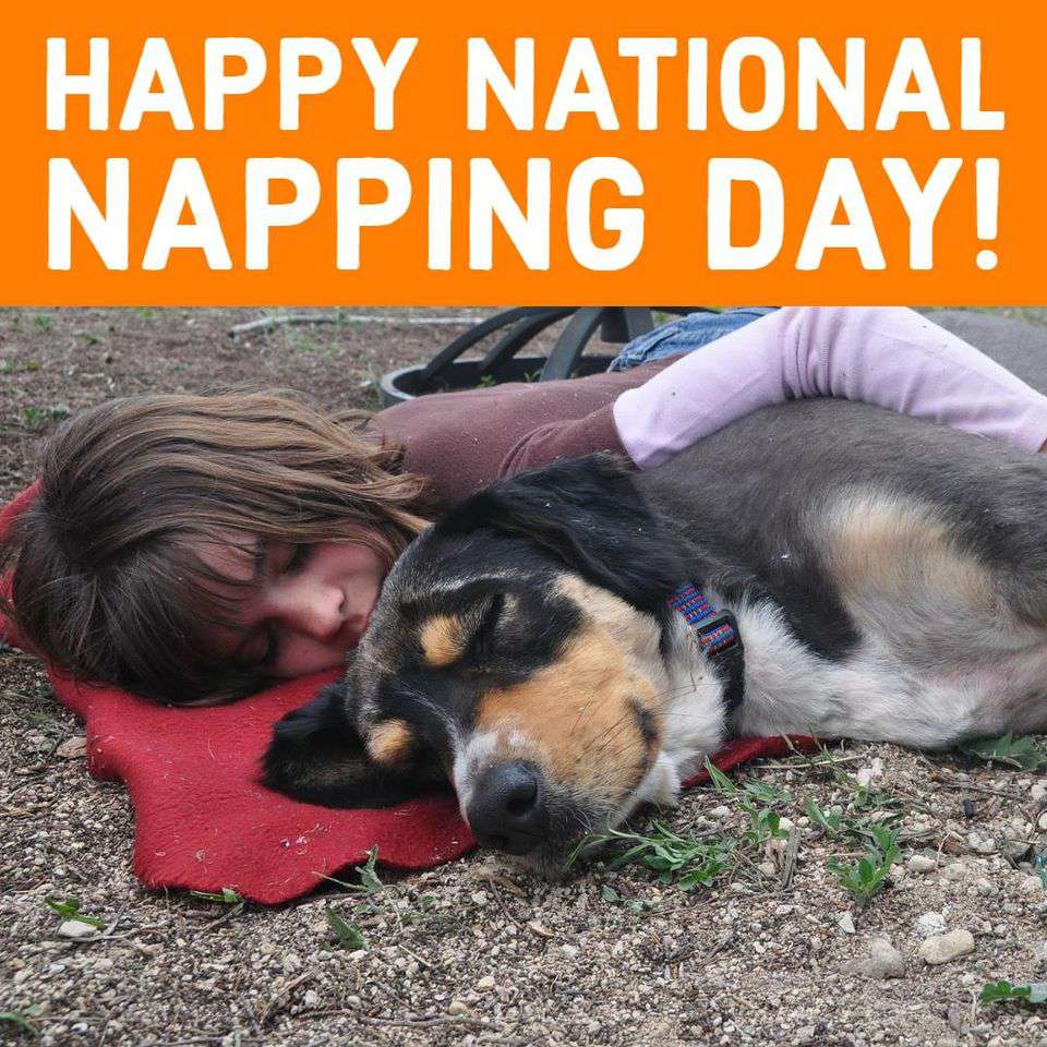 National Napping Day Wishes Unique Image