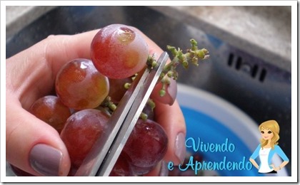 Higienizando as uvas4