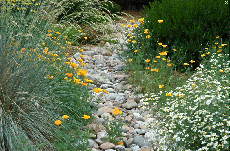 landscape ideas for hills Dry Creek Bed Landscaping Ideas | 794 x 522