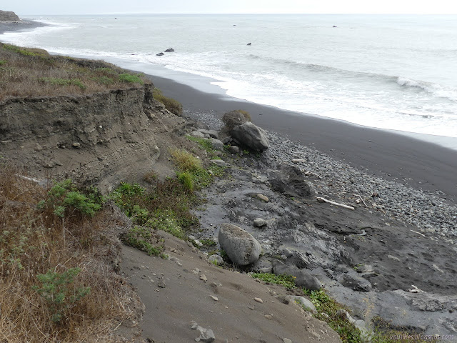 water seeping from a hard rock layer by the beach